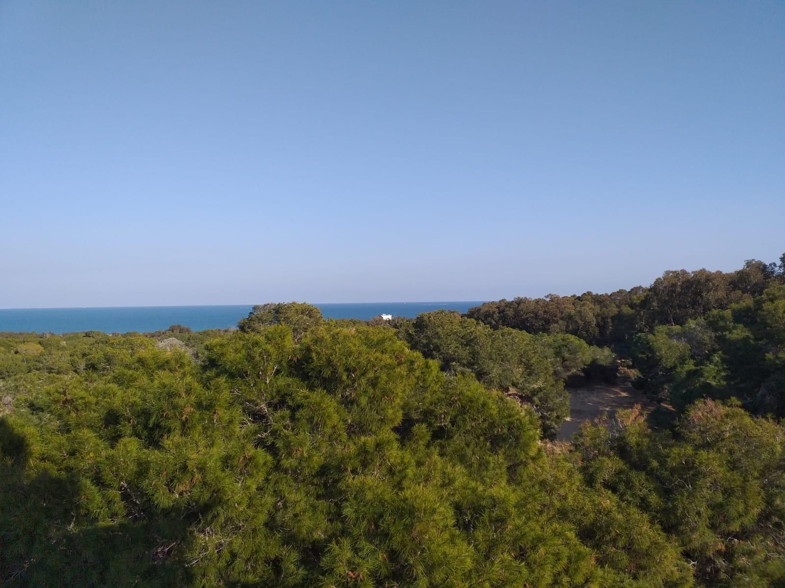 3 Bed, 2 Bath, ApartmentFor Sale, Guardamar Del Segura, Alicante