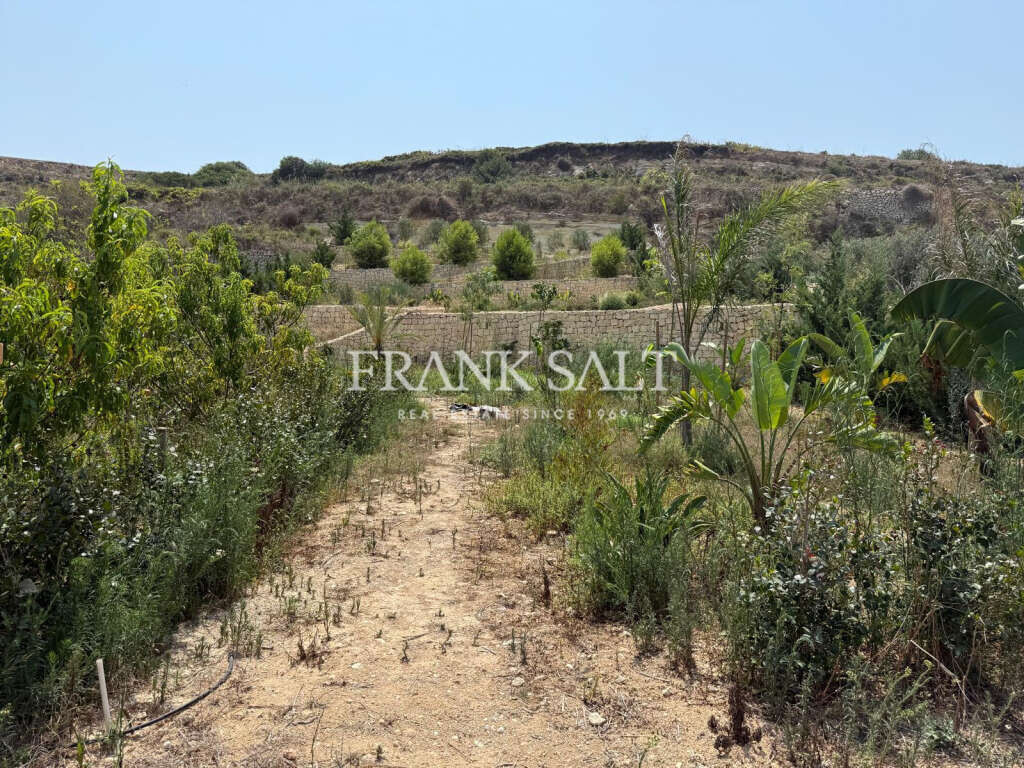 St Pauls Bay, ,For Sale,FRSA-922164