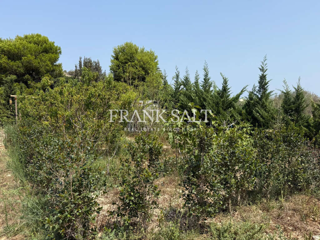 St Pauls Bay, ,For Sale,FRSA-922164