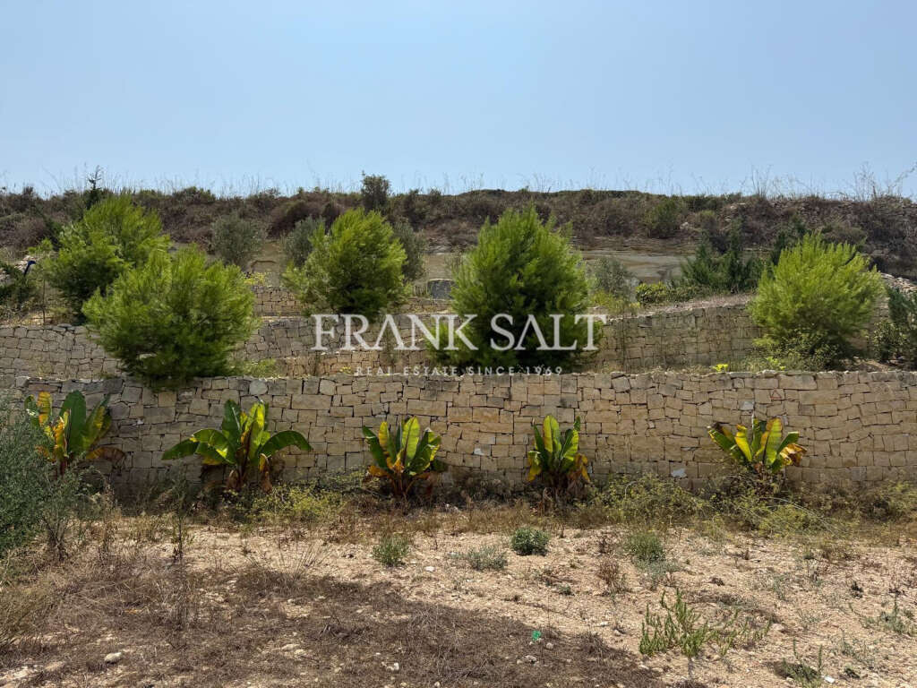 St Pauls Bay, ,For Sale,FRSA-922164