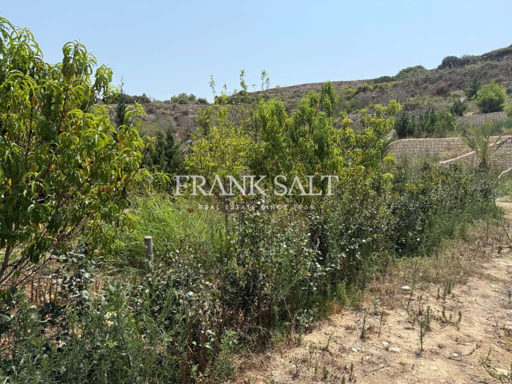 St Pauls Bay, ,For Sale,FRSA-922164