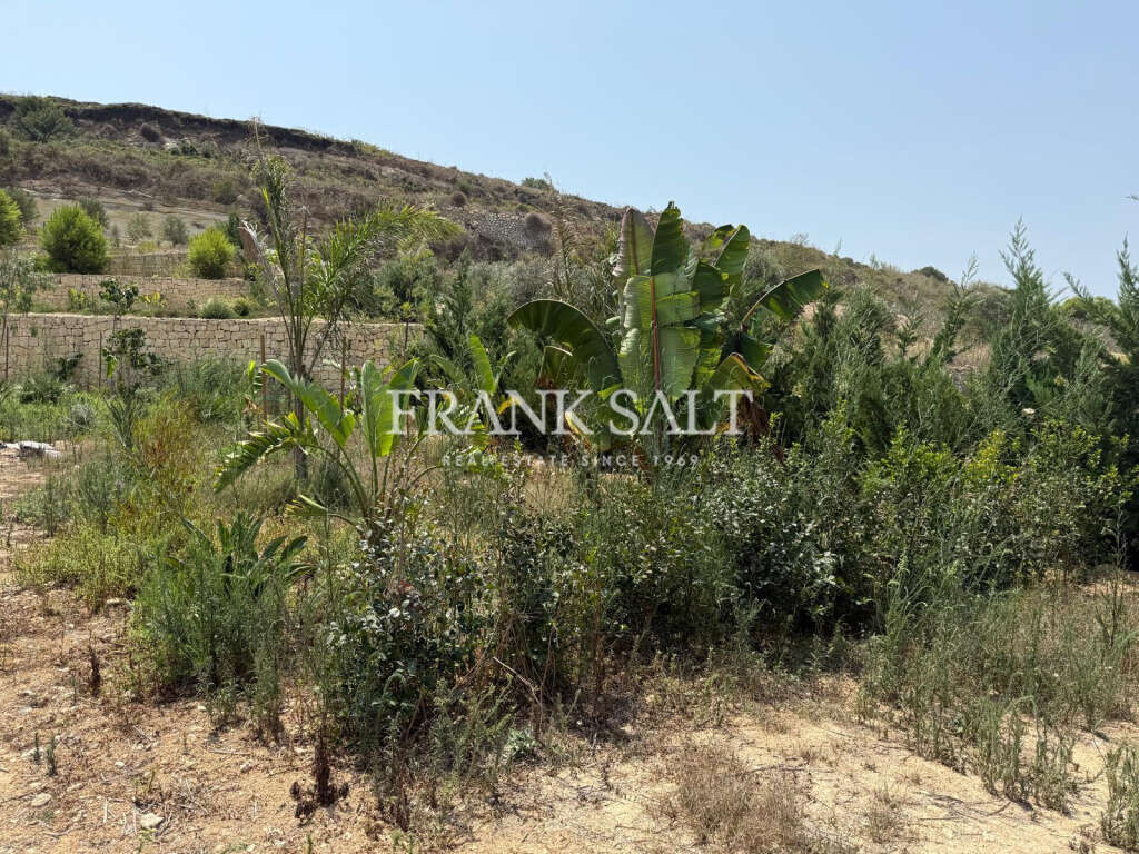 St Pauls Bay, ,For Sale,FRSA-922164