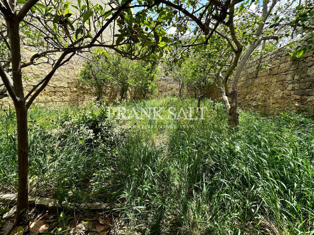 Zejtun, 3 Bedrooms Bedrooms, ,1 BathroomBathrooms,For Sale,FRSA-919141