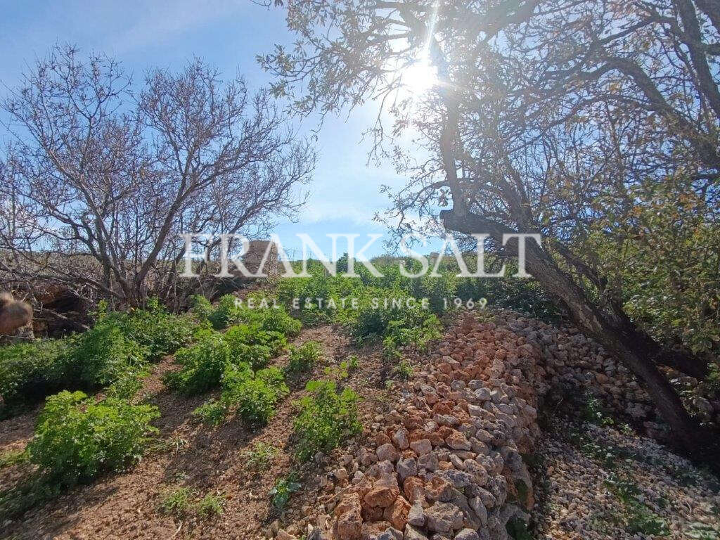 Mgarr, ,For Sale,FRSA-512197