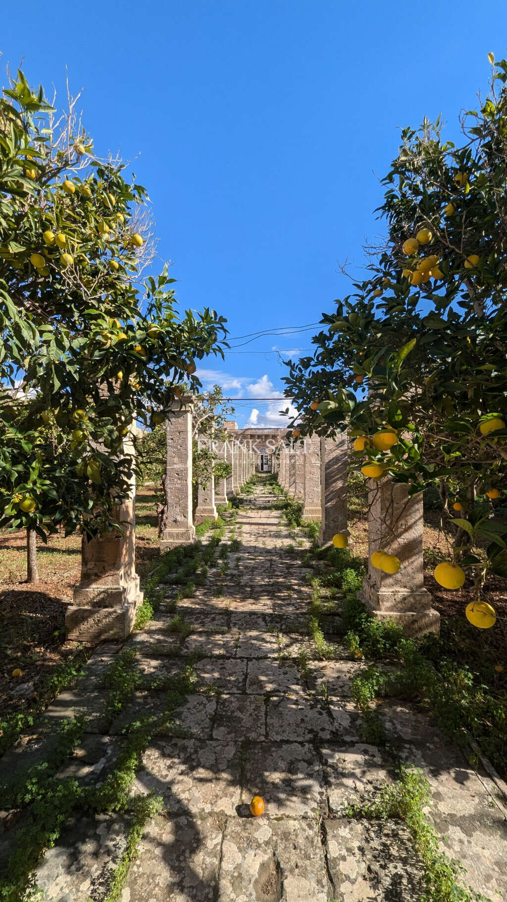 Zurrieq, 4 Bedrooms Bedrooms, ,6 BathroomsBathrooms,For Sale,FRSA-818624 Zurrieq, 4 Bedrooms Bedrooms, ,6 BathroomsBathrooms,For Sale,FRSA-818624