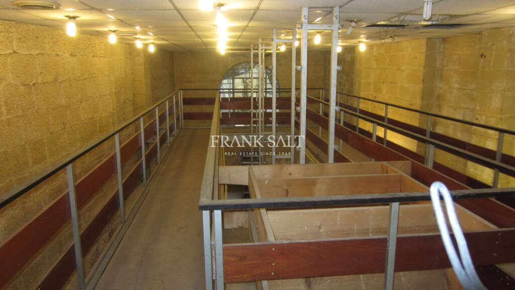 Birkirkara, ,For Sale,FRSA-617108