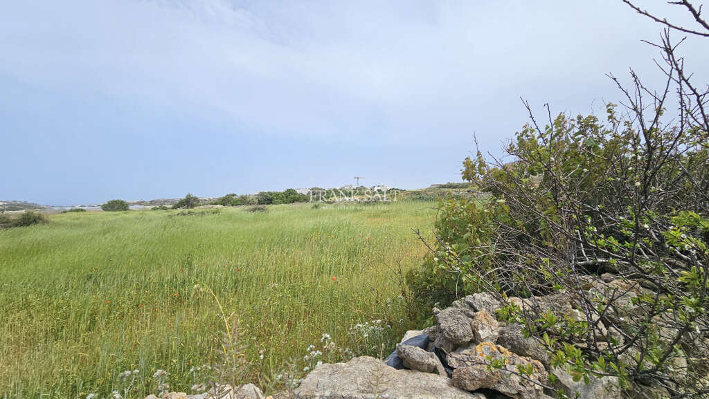 Mgarr, ,For Sale,FRSA-045552