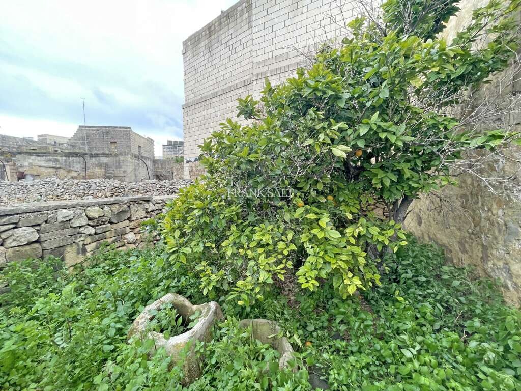 Zabbar, 3 Bedrooms Bedrooms, ,For Sale,FRSA-426045