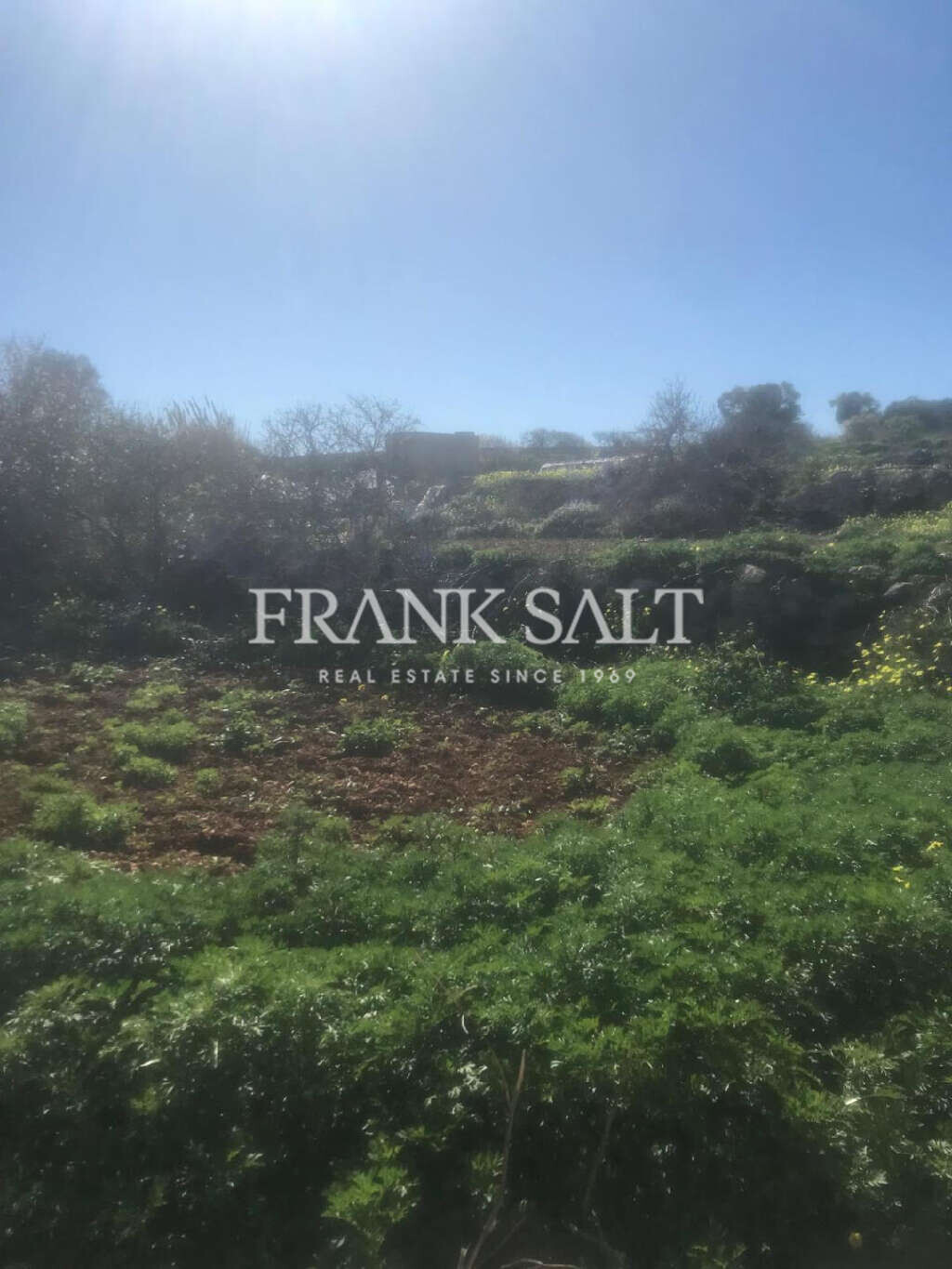 Dingli, ,For Sale,FRSA-715111 Dingli, ,For Sale,FRSA-715111