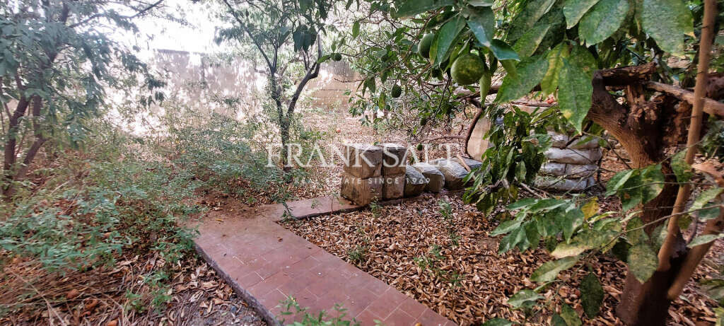 Qormi, 5 Bedrooms Bedrooms, ,2 BathroomsBathrooms,For Sale,FRSA-818132