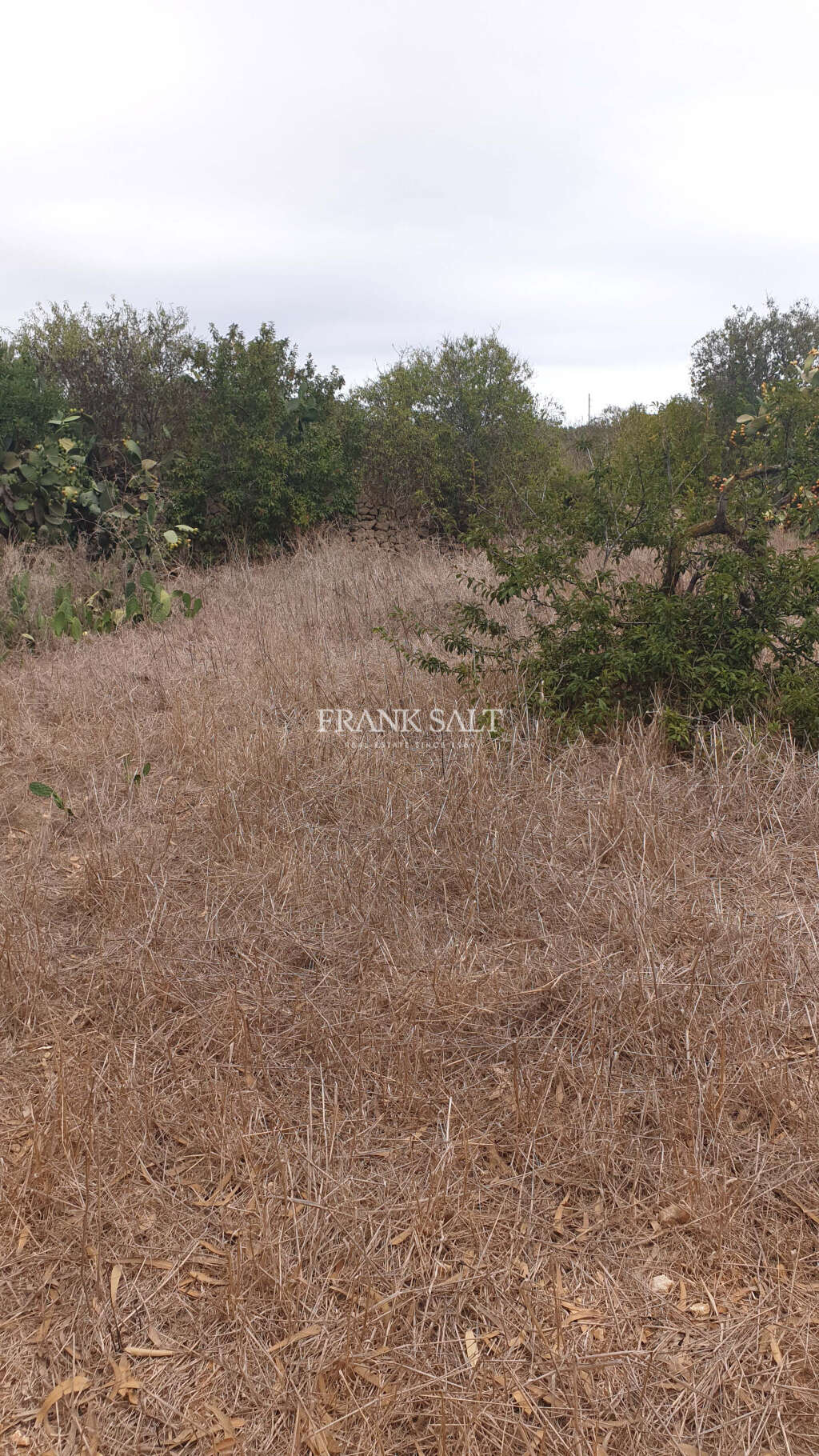 Xaghra, Gozo, ,For Sale,FRSA-115937 Xaghra, Gozo, ,For Sale,FRSA-115937