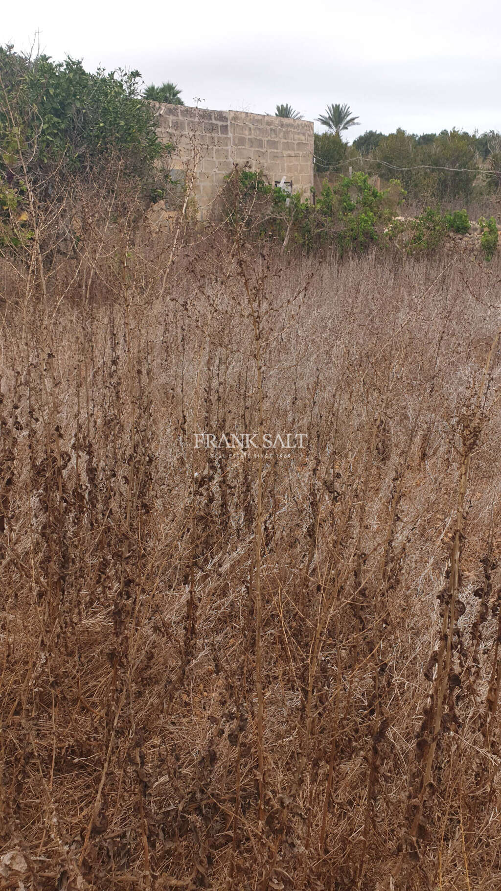 Xaghra, Gozo, ,For Sale,FRSA-115937