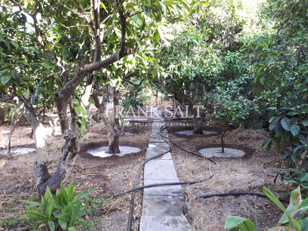 Qormi, 6 Bedrooms Bedrooms, ,3 BathroomsBathrooms,For Sale,FRSA-322087