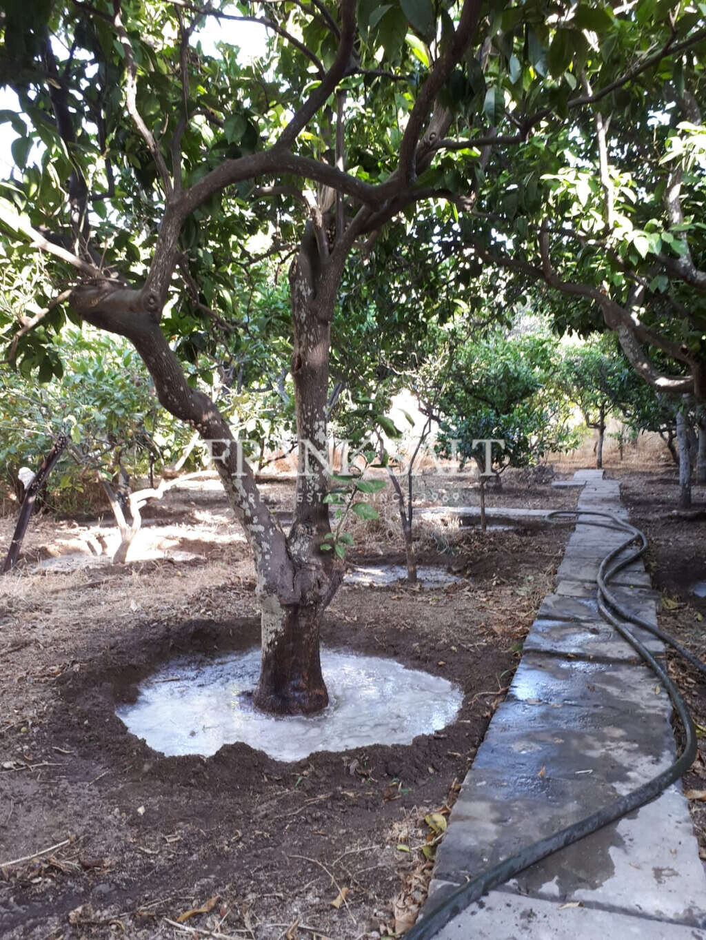 Qormi, 6 Bedrooms Bedrooms, ,3 BathroomsBathrooms,For Sale,FRSA-322087