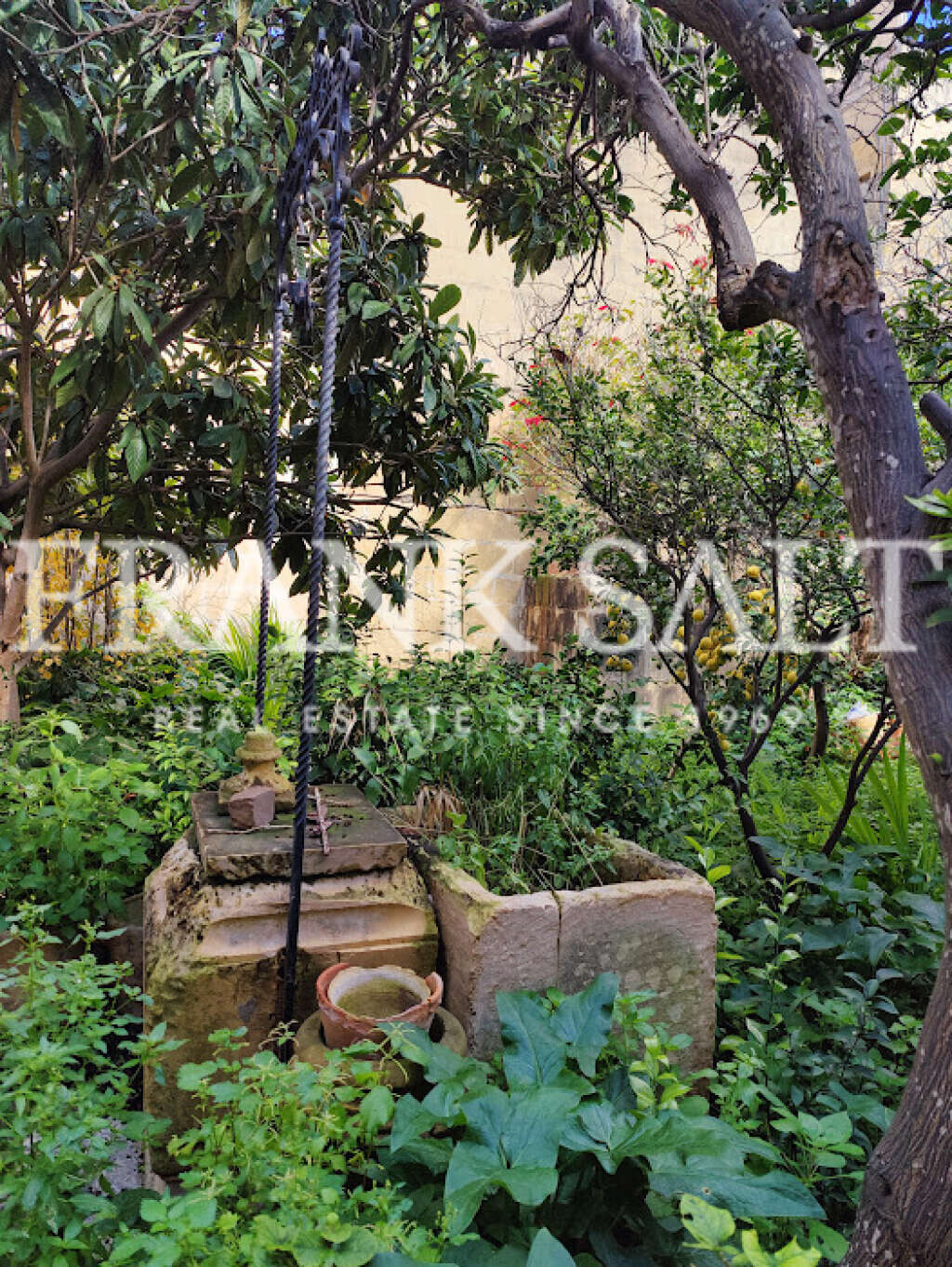 Qormi, 6 Bedrooms Bedrooms, ,3 BathroomsBathrooms,For Sale,FRSA-322087