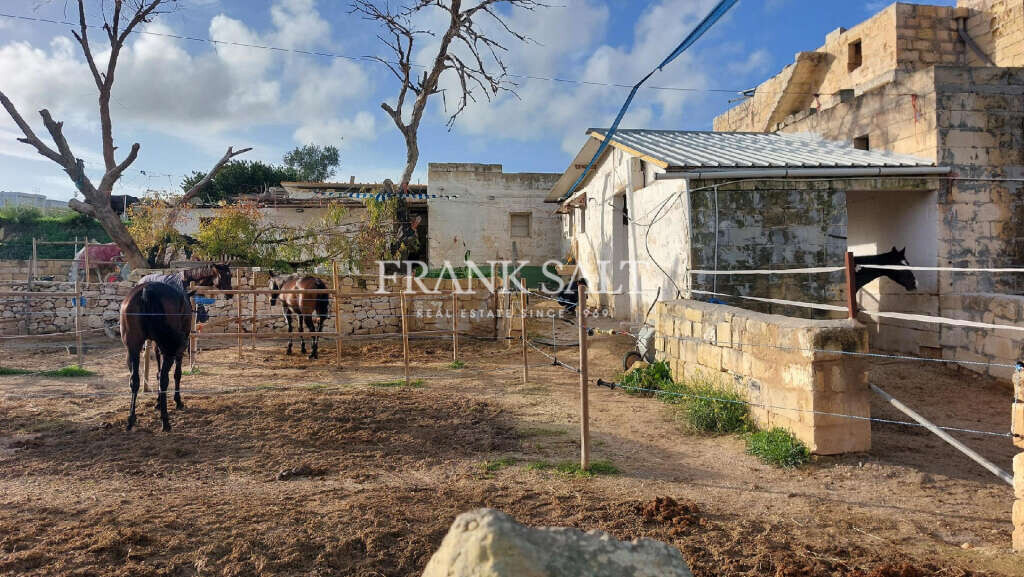 Qormi, ,For Sale,FRSA-043611