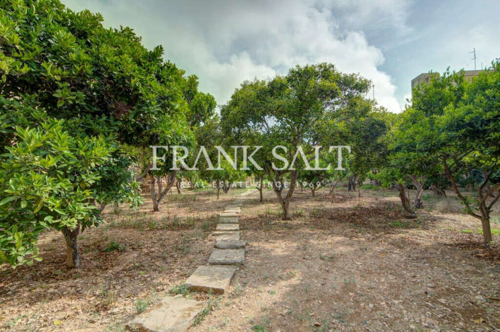 Zejtun, 6 Bedrooms Bedrooms, ,2 BathroomsBathrooms,For Sale,FRSA-425952