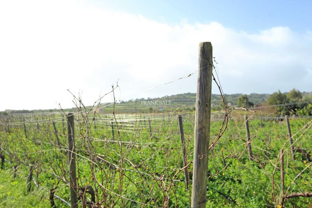 Siggiewi, ,For Sale,FRSA-751462