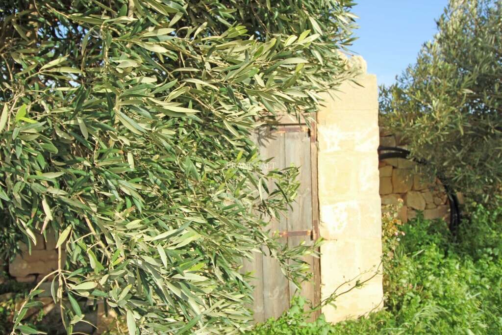 Siggiewi, ,For Sale,FRSA-751462