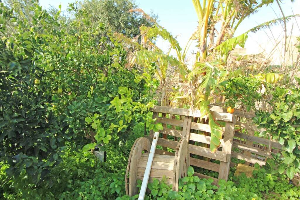 Siggiewi, ,For Sale,FRSA-751462