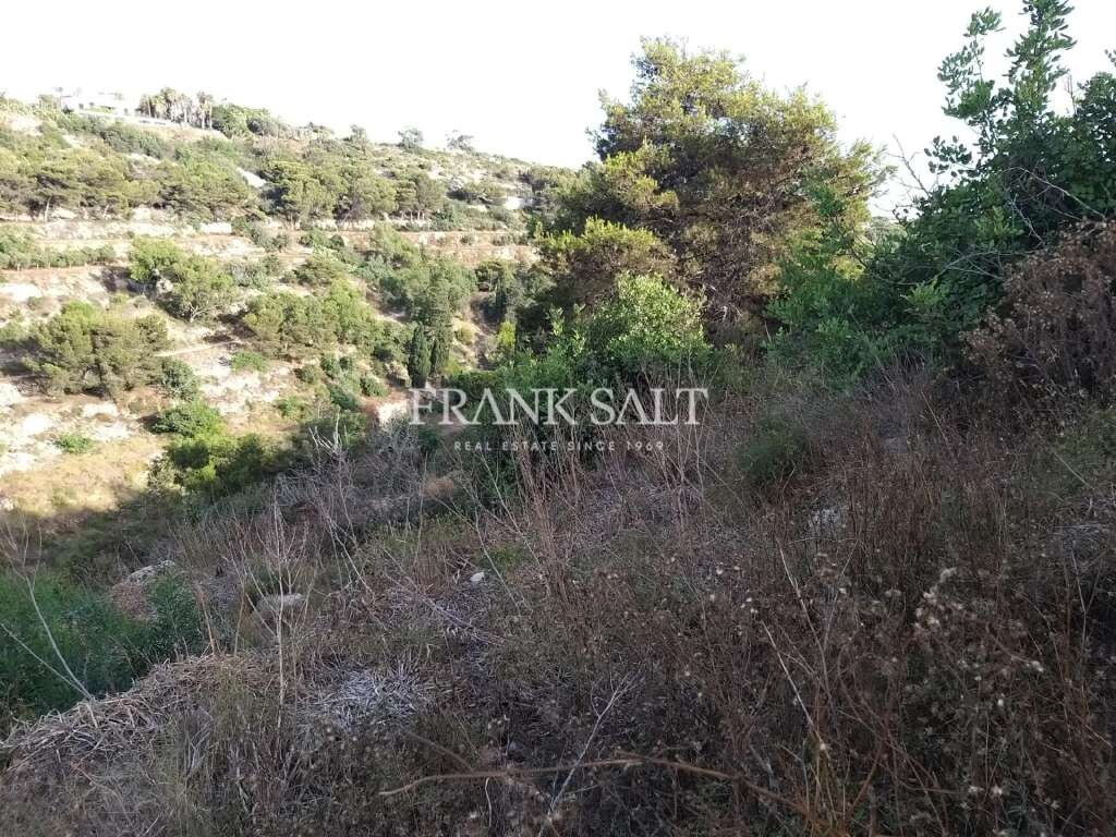 Madliena, ,For Sale,FRSA-043058