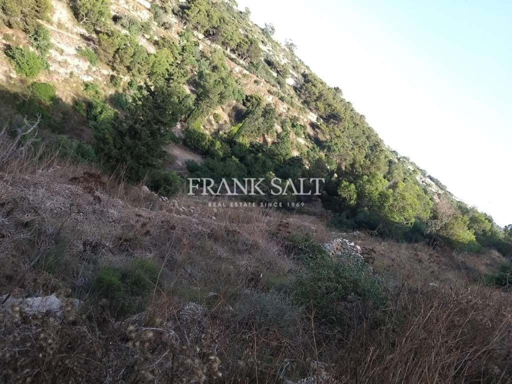 Madliena, ,For Sale,FRSA-043058