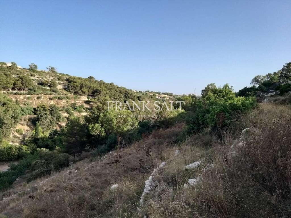 Madliena, ,For Sale,FRSA-043058