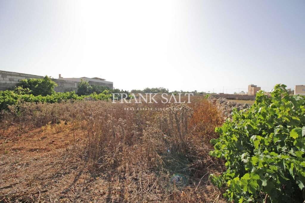 Xghajra, 2 Bedrooms Bedrooms, ,1 BathroomBathrooms,For Sale,FRSA-425209