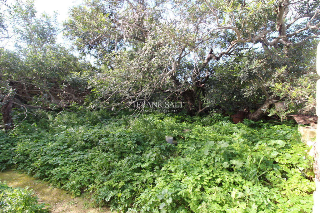 Zebbug, 3 Bedrooms Bedrooms, ,1 BathroomBathrooms,For Sale,FRSA-042654