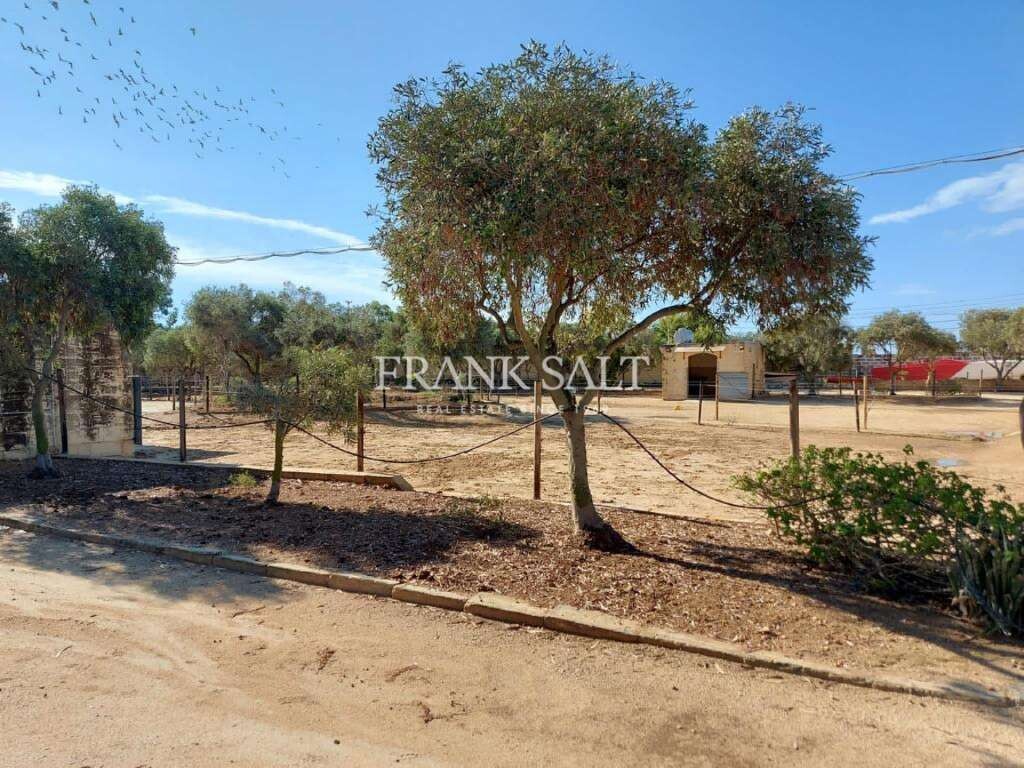 Zabbar, 1 Bedroom Bedrooms, ,1 BathroomBathrooms,For Sale,FRSA-215828