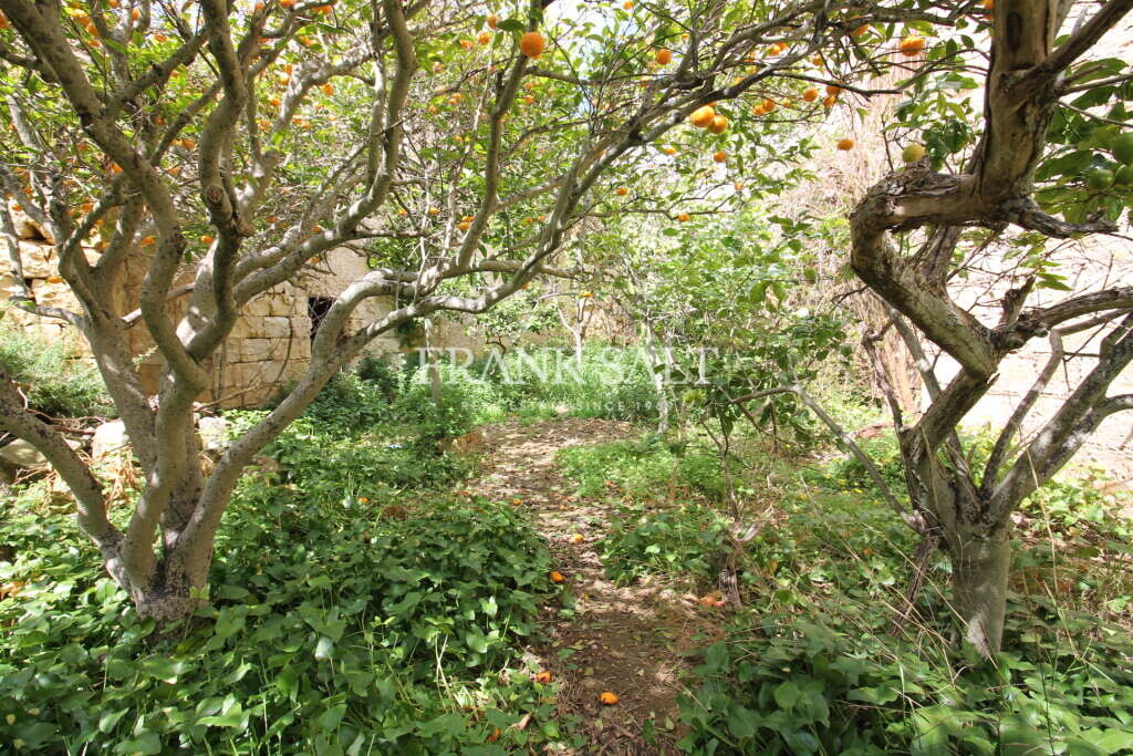 Siggiewi, 3 Bedrooms Bedrooms, ,For Sale,FRSA-816831