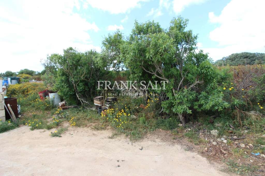 Dingli, ,For Sale,FRSA-752128