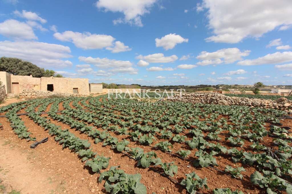 Siggiewi, ,For Sale,FRSA-752127