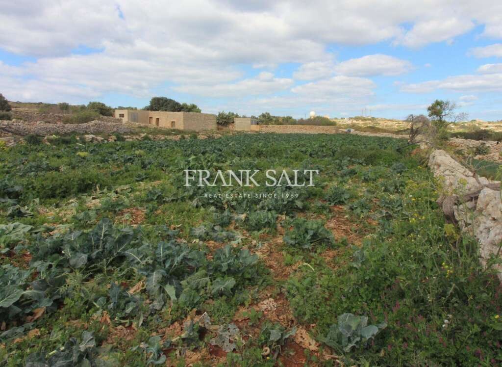 Siggiewi, ,For Sale,FRSA-752127