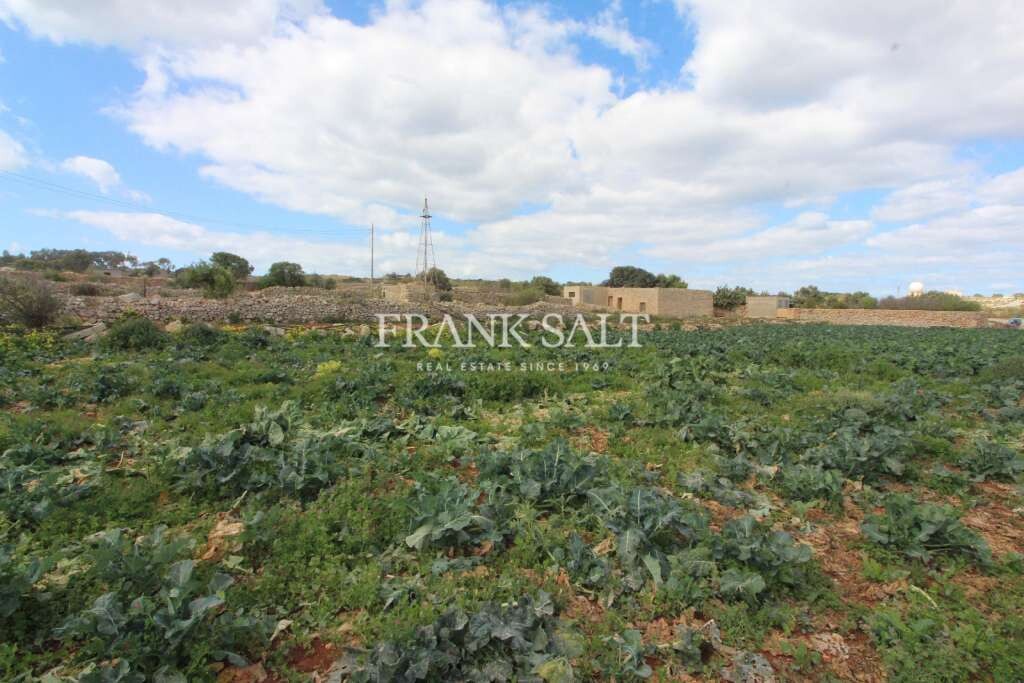 Siggiewi, ,For Sale,FRSA-752127