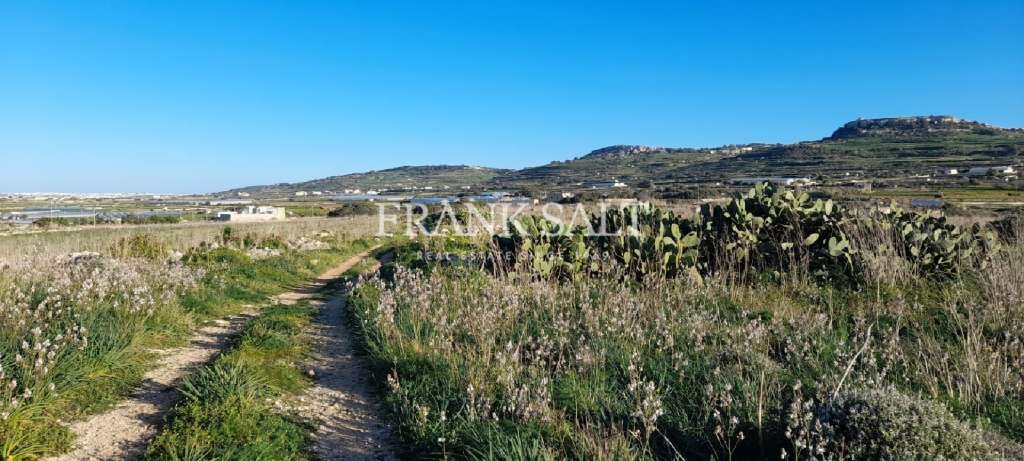 Mgarr, ,For Sale,FRSA-352611