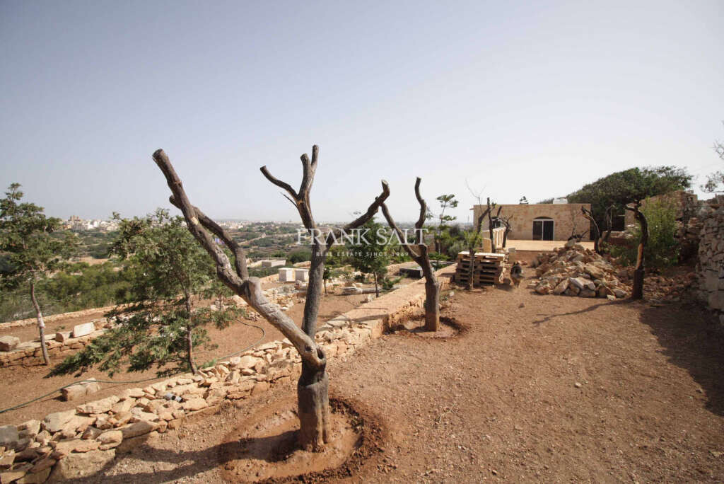 Zurrieq, 3 Bedrooms Bedrooms, ,1 BathroomBathrooms,For Sale,FRSA-040930