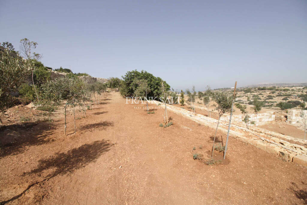 Zurrieq, 3 Bedrooms Bedrooms, ,1 BathroomBathrooms,For Sale,FRSA-040930