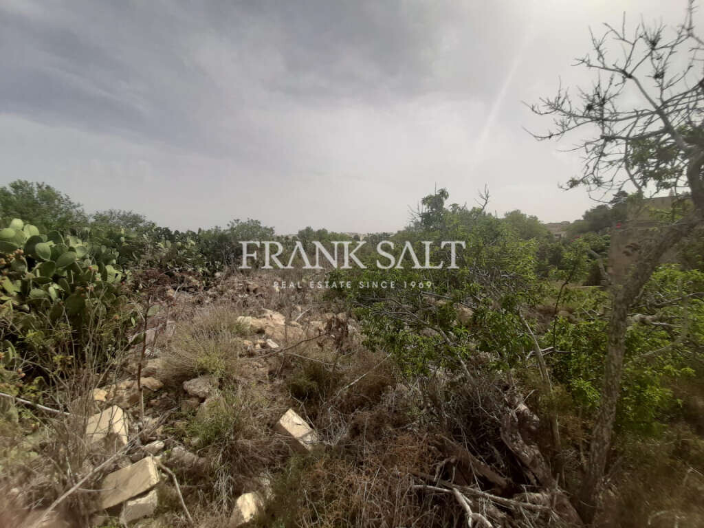 Xaghra, Gozo, ,For Sale,FRSA-113233