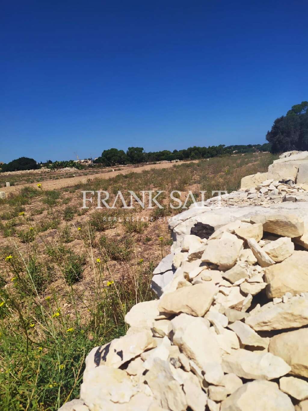 Birzebbugia, ,For Sale,FRSA-270720