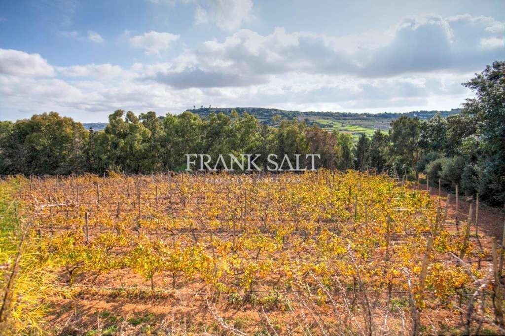 Wardija, ,For Sale,FRSA-033910