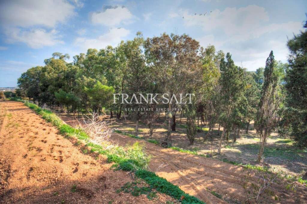 Wardija, ,For Sale,FRSA-033910