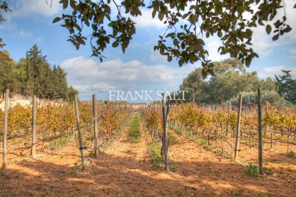 Wardija, ,For Sale,FRSA-033910