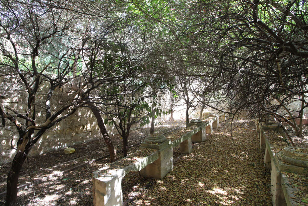 Birkirkara, 3 Bedrooms Bedrooms, ,2 BathroomsBathrooms,For Sale,FRSA-510372