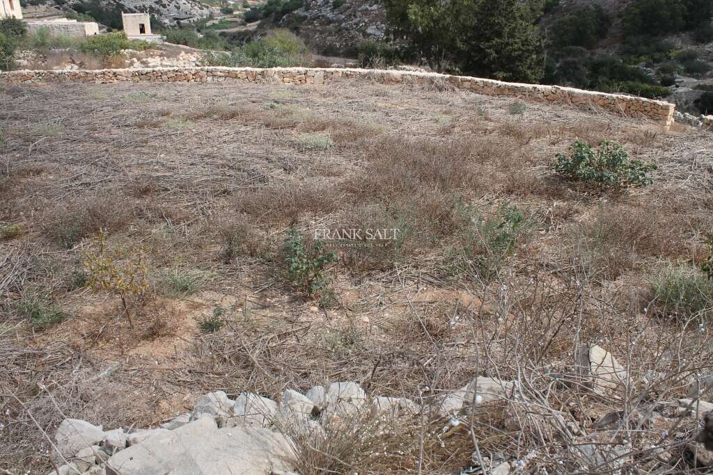 Siggiewi, ,For Sale,FRSA-453063