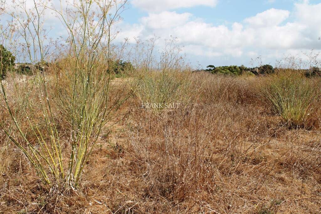 Siggiewi, ,For Sale,FRSA-453063