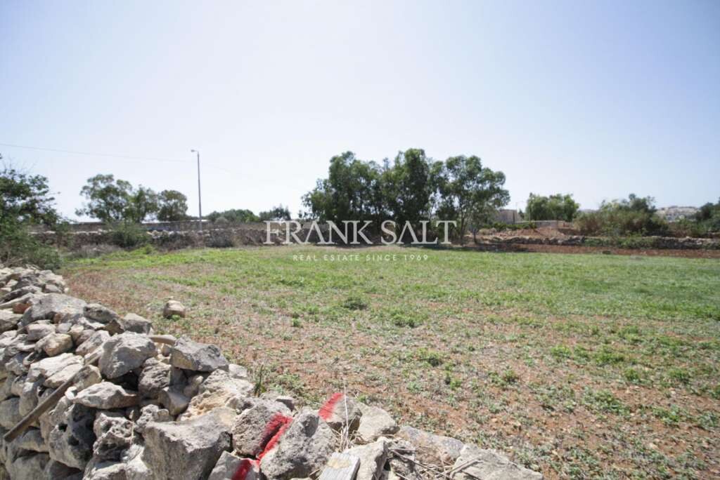 Zejtun, ,For Sale,FRSA-418503