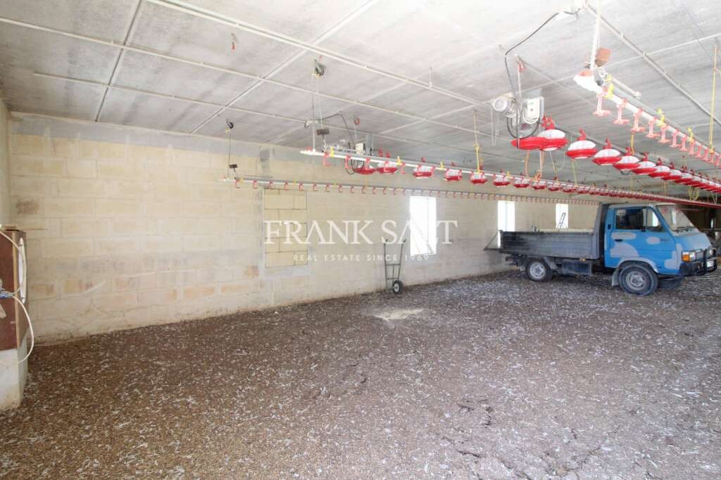 Zebbug, ,For Sale,FRSA-616684