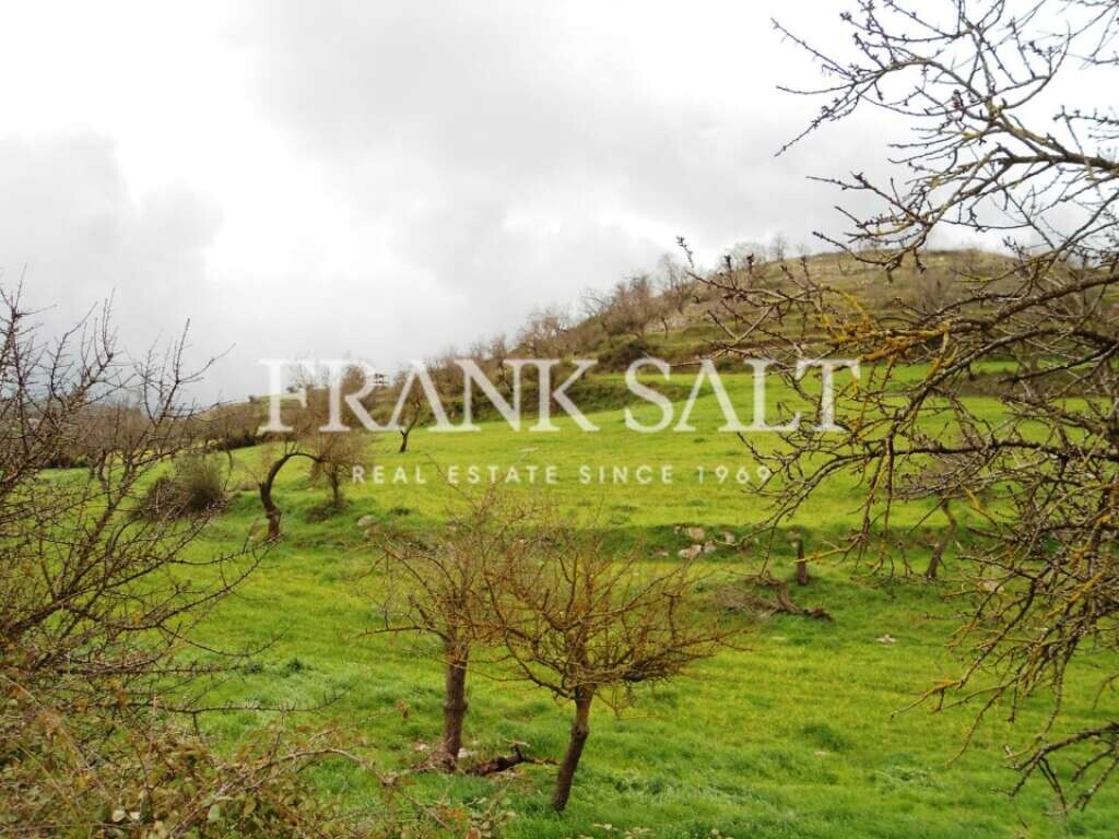 Sicily, Ragusa, ,For Sale,FRSA-912503