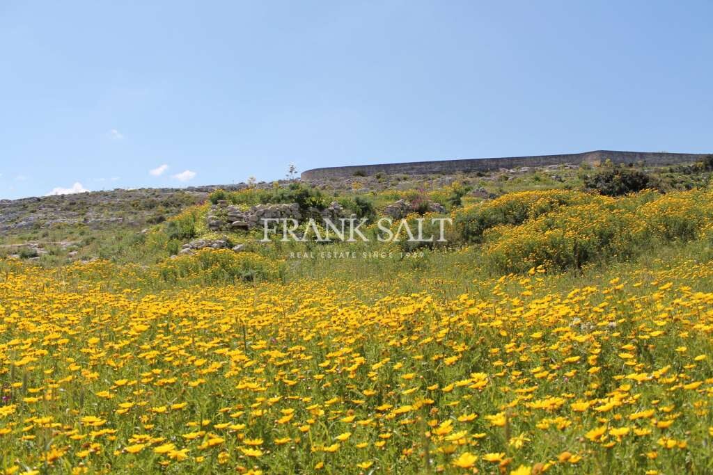 Mosta, ,For Sale,FRSA-813971